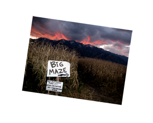 bigmaze