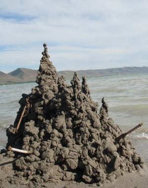 dripple_castle