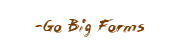 go big forms