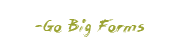 go big forms